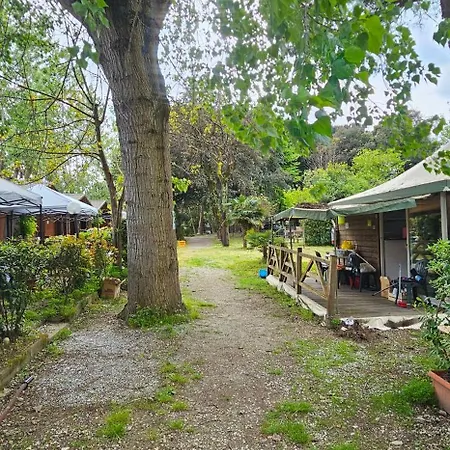Pini E Pioppi Massa (Tuscany)