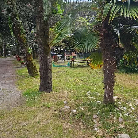 Pini E Pioppi