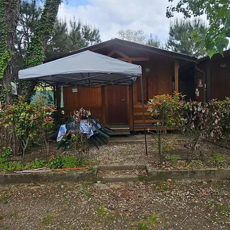 Campsite Pini E Pioppi *