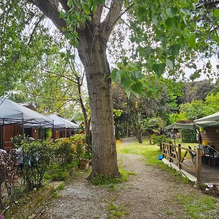 Campsite Pini E Pioppi Massa (Tuscany)