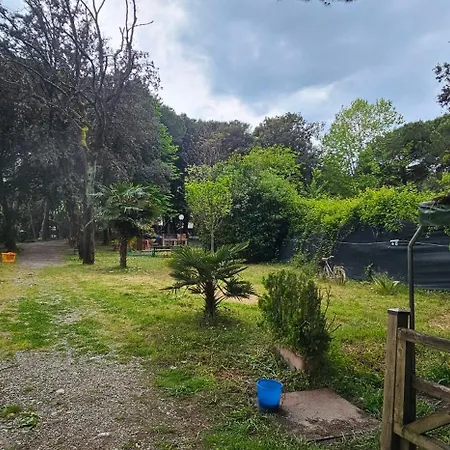 Campsite Pini E Pioppi *