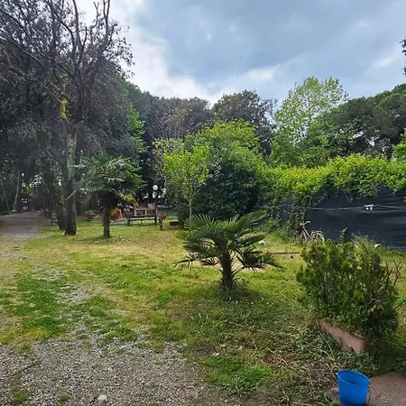 Campsite Pini E Pioppi
