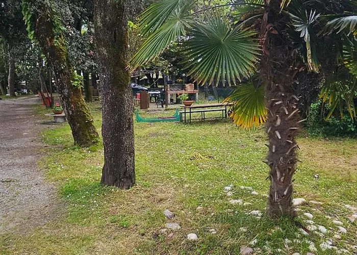 Pini E Pioppi